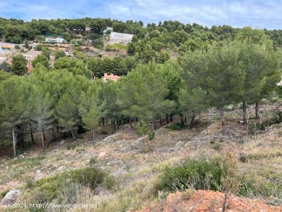 PIENSAS EN VIVIR MEJOR? Puedes empezar por vivir en plena naturaleza en Urbanización la Coma - CAST