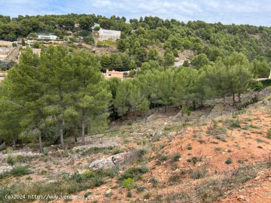 PIENSAS EN VIVIR MEJOR? Puedes empezar por vivir en plena naturaleza en Urbanización la Coma - CAST