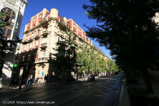 GRAN OFICINA EN PLENO GRAN VIA - GRANADA