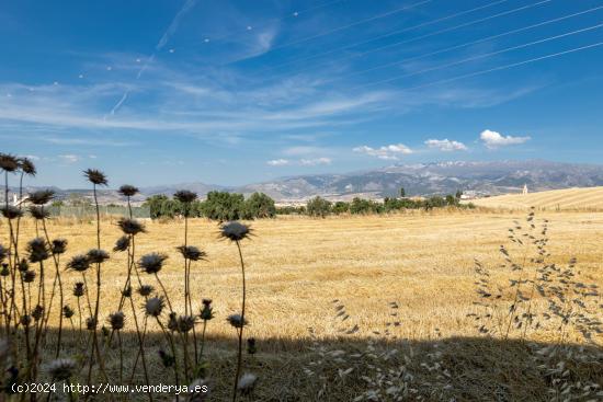  ESTUPENDO SOLAR EN LAS GABIAS - GRANADA 