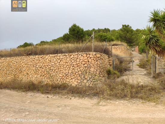 Parcela con casita de aperos! - ALICANTE