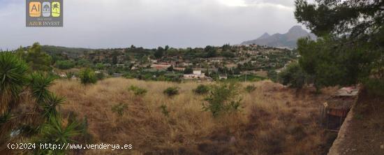 Parcela con casita de aperos! - ALICANTE