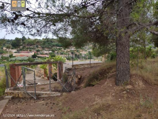 Parcela con casita de aperos! - ALICANTE