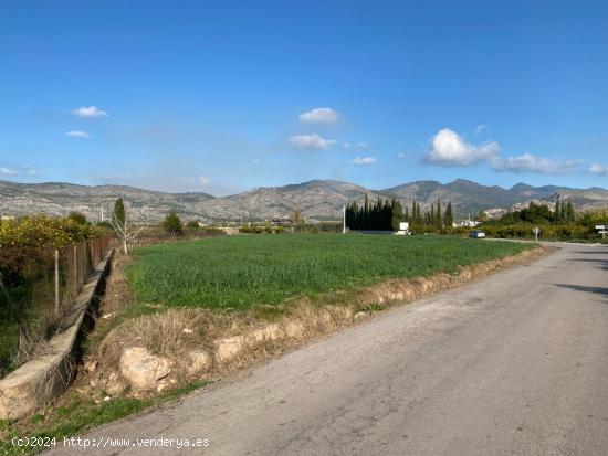  TERRENO RÚSTICO EN CAMÍ D´EN RIERA - CASTELLON 