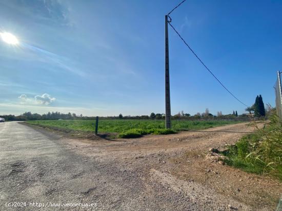 TERRENO RÚSTICO EN CAMÍ D´EN RIERA - CASTELLON