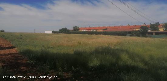 Terreno urbanizable Almendralejo - BADAJOZ