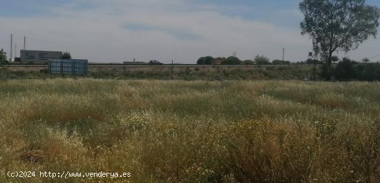 Terreno urbanizable Almendralejo - BADAJOZ