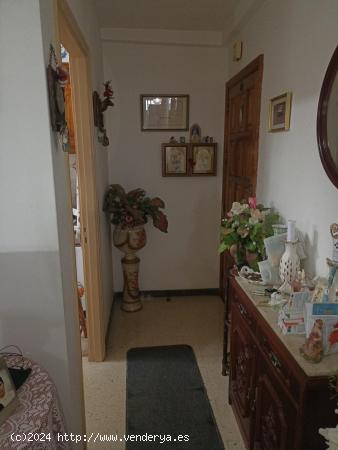 Se Vende en Santa Maria de Guia - LAS PALMAS