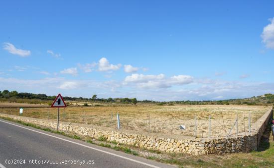 Finca rústica edificable en Porreres - BALEARES