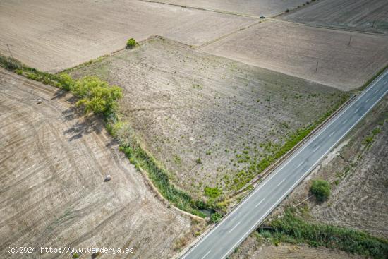  Terreno rustico en Santa Margalida - BALEARES 