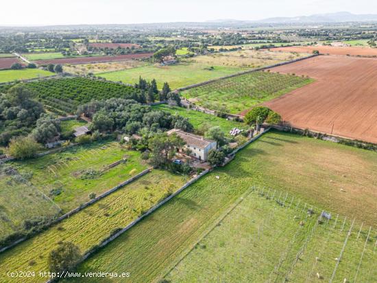 Magnifica finca rústica en la zona de Porreres. - BALEARES