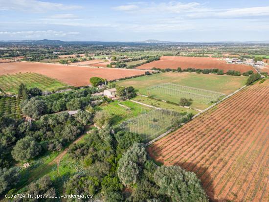 Magnifica finca rústica en la zona de Porreres. - BALEARES