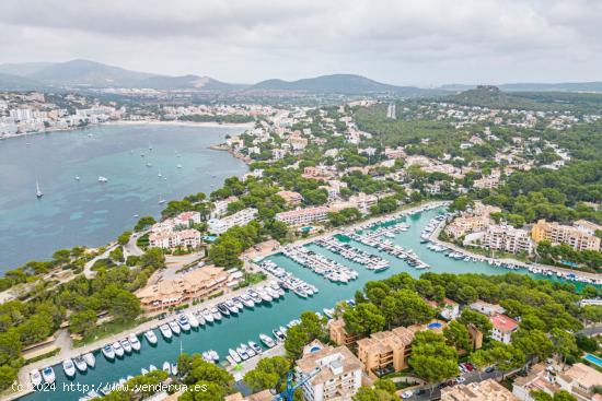 Planta baja con piscina y acceso directo al club náutico de Santa Ponça - BALEARES