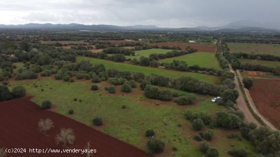 PRECIOSA FINCA RÚSTICA ENTRE PORRERAS Y FELANITX - BALEARES