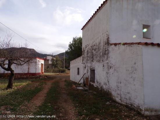  TE GUSTA LA NATURALEZA-- Mas Bancalas - CASTELLON 