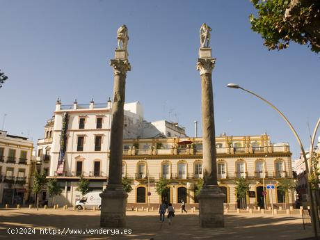 Se Vende en Sevilla - SEVILLA