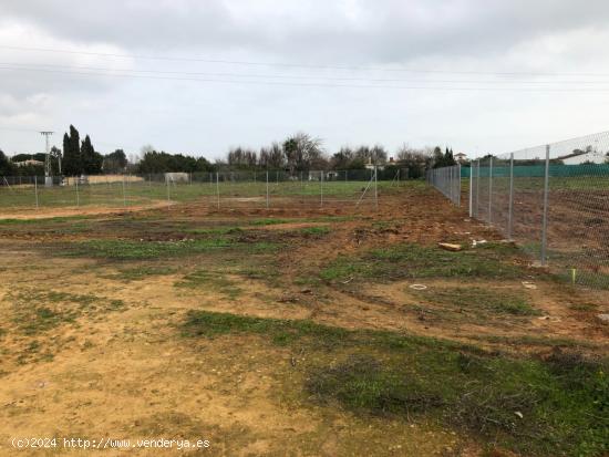 PARCELA DE 2500 M2 EN URBANIZACIÓN A LA SALIDA DEL VISO DEL ALCOR - SEVILLA