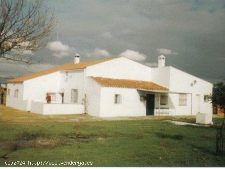 Se Vende en Cabezas Rubias - HUELVA