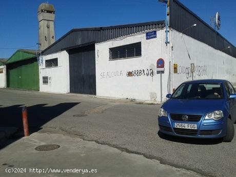 Se Alquila en Sevilla - SEVILLA