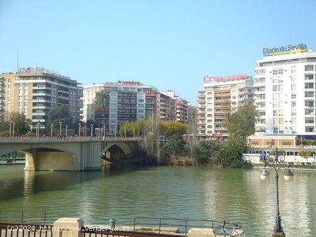  Se Alquila en Sevilla - SEVILLA 