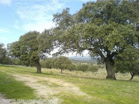 Se Vende en Badajoz - BADAJOZ