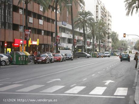 Se Alquila en Sevilla - SEVILLA