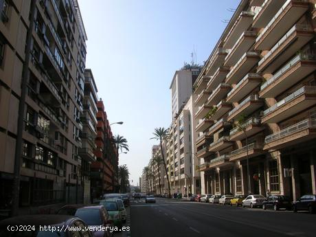 Se Alquila en Sevilla - SEVILLA