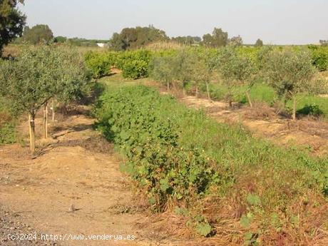  Se Vende en Aracena - HUELVA 