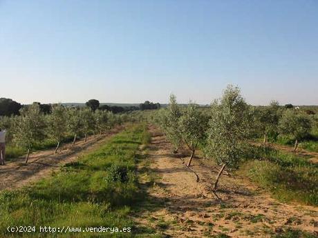 Se Vende en Aracena - HUELVA