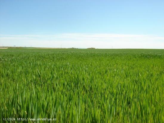 Se Vende en Badajoz - BADAJOZ