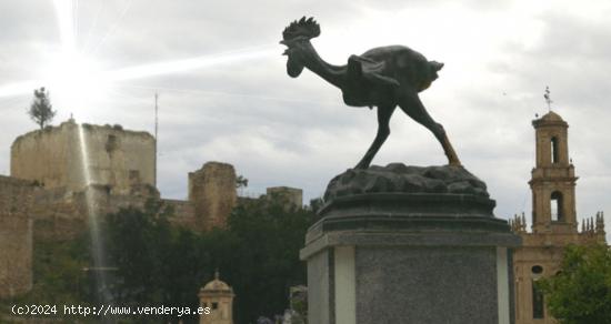 PISO EN LA ALAMEDA, MUY AMPLIO Y TODO EXTERIOR - SEVILLA