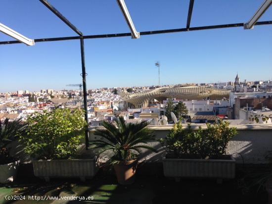 SE ALQUILA ÁTICO AMUEBLADO EN EL CENTRO DE SEVILLA EN SEMANA SANTA Y FERIA - SEVILLA