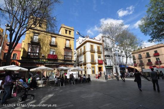 SE ALQUILA LOCAL COMERCIAL EN EL CENTRO DE SEVILLA - SEVILLA