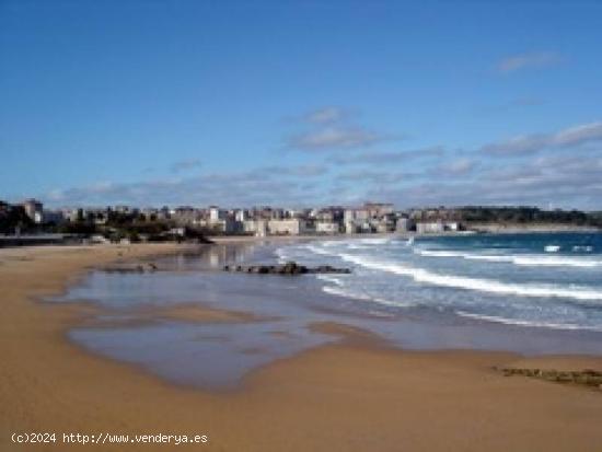  ALQUILO VIVIENDA PARA VERANO Y TEMPORADA PROXIMA A LAS PLAYAS DEL SARDINERO - CANTABRIA 