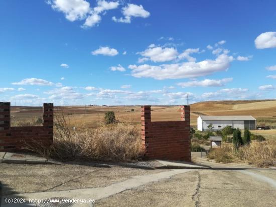 SE VENDE SOLAR DE 350 M2 EN CASTILFALÉ, A 10 MINUTOS DE VALENCIA DE DON JUAN. - LEON