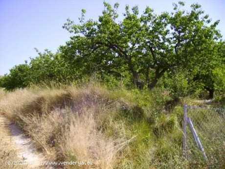 Se Vende en Calasparra - MURCIA