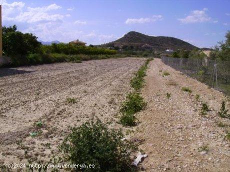 Se Vende en Calasparra - MURCIA