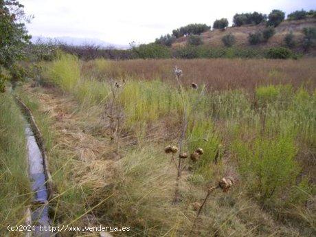 Se Vende en Calasparra - MURCIA