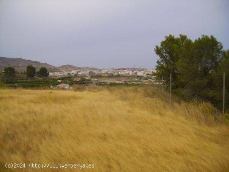 Se Vende en Calasparra - MURCIA