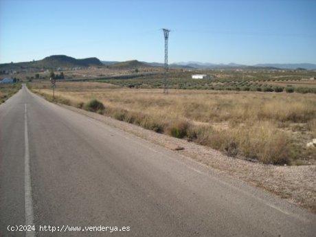 Se Vende en Calasparra - MURCIA