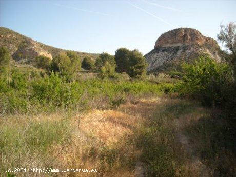 Se Vende en Calasparra - MURCIA