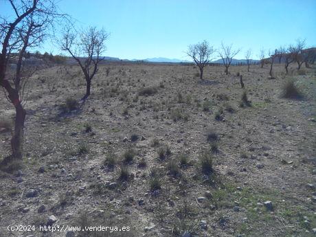 Se Vende en Calasparra - MURCIA