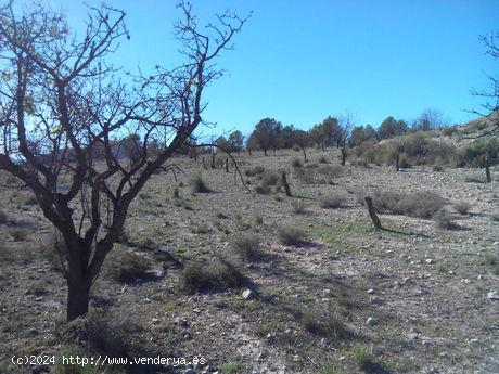 Se Vende en Calasparra - MURCIA