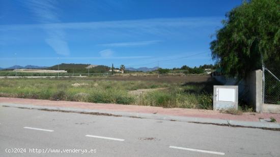 Se Vende en Calasparra - MURCIA