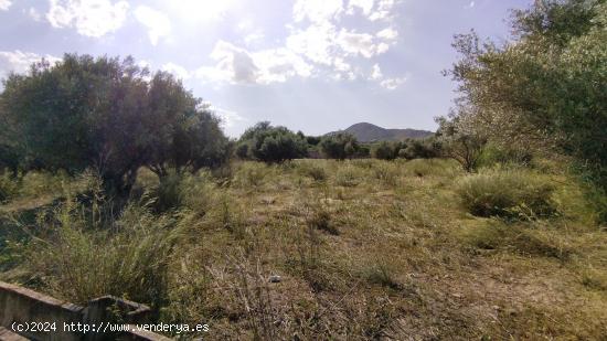 Se Vende en Calasparra - MURCIA