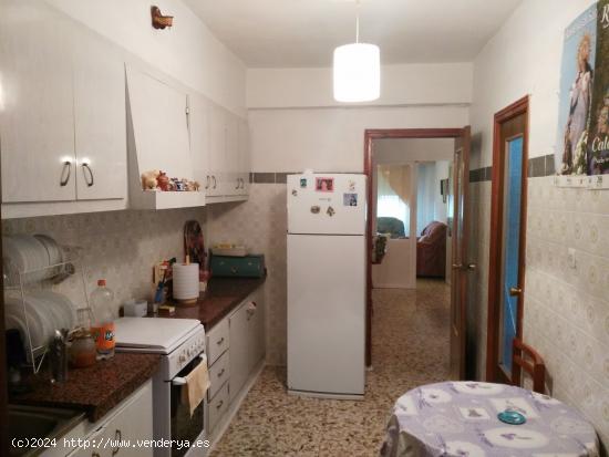 Se Vende en Calasparra - MURCIA