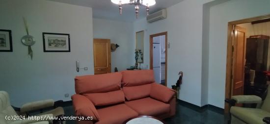 Se Vende en Calasparra - MURCIA