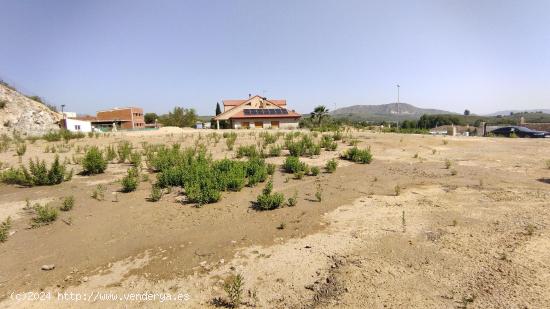 Se Vende en Calasparra - MURCIA