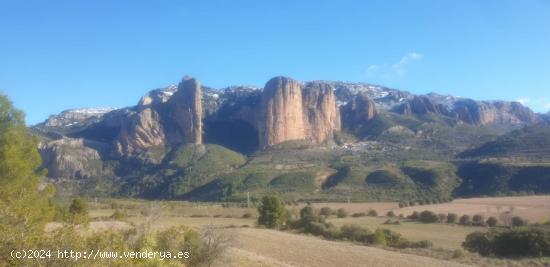 TERRENO OPTIMO PARA CAMPING - ZARAGOZA