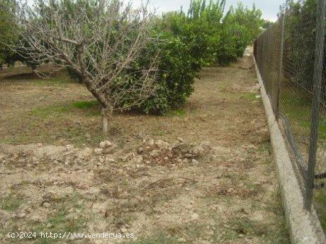 ++OCASION++TERRENO EN VENTA EN BUENA ZONA DE LA RIBERA DE MOLINA+ - MURCIA